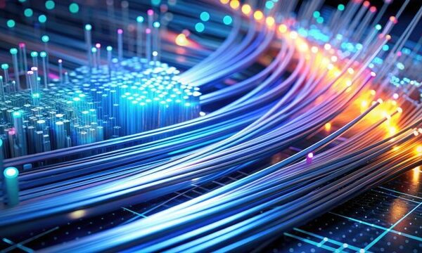 photo_٢٠٢٥-٠١-٠٨_١٢-٣١-٤٩